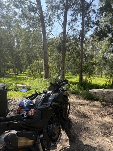 מודעת רכב Voge 650DS-X