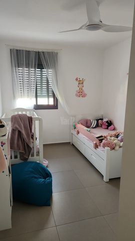 אלישע הנביא 24