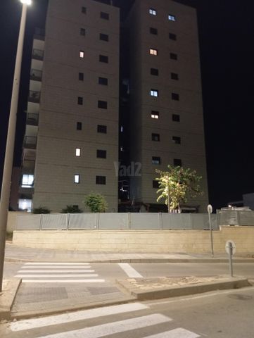 אריאל שרון 16