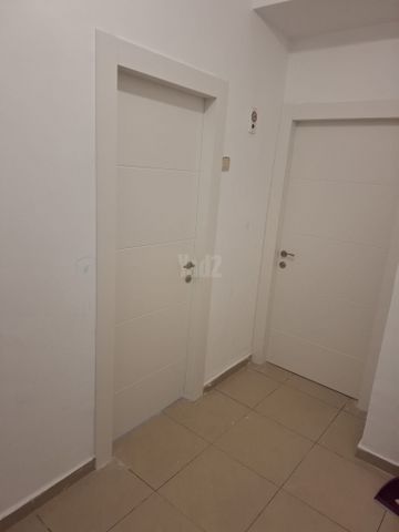 ביאליק 82