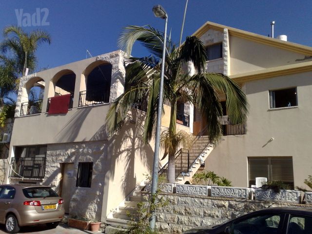 מורן 243