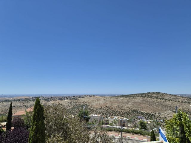 ענבר 1
