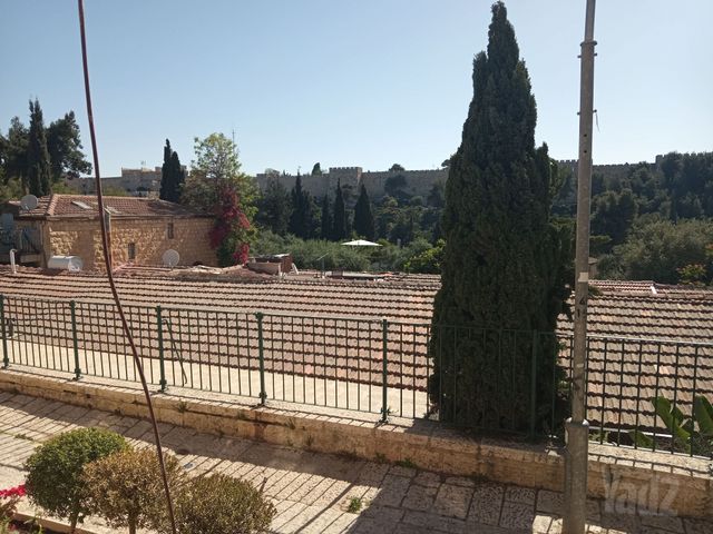 התקווה 29