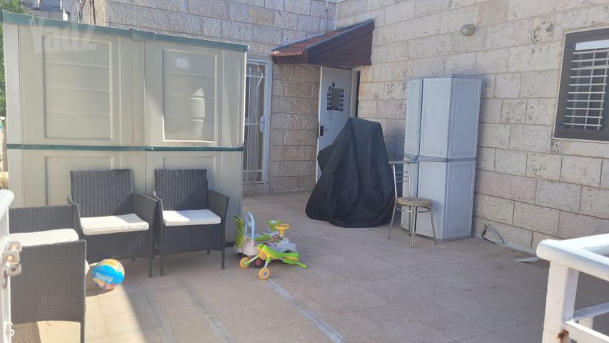 ברוש 31