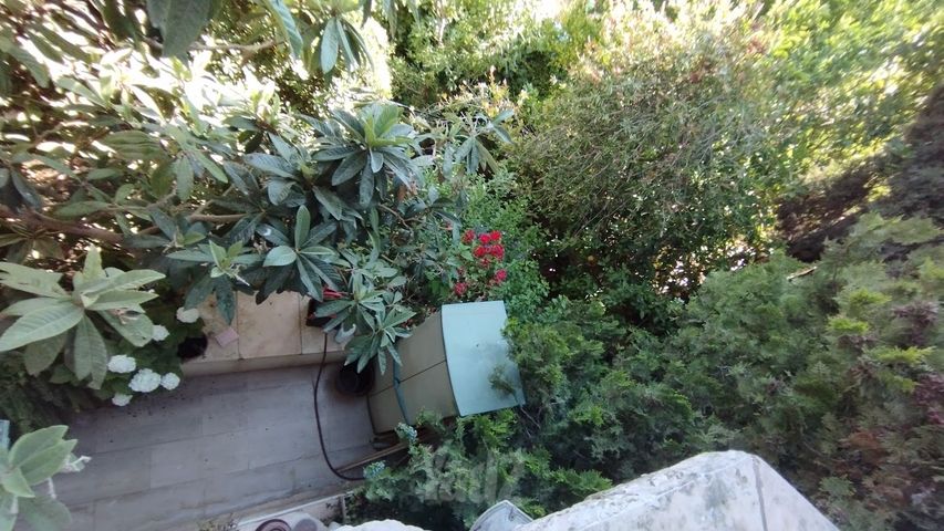 דירה להשכרה בירושלים — 5
