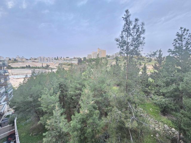 גרשון אבנר 