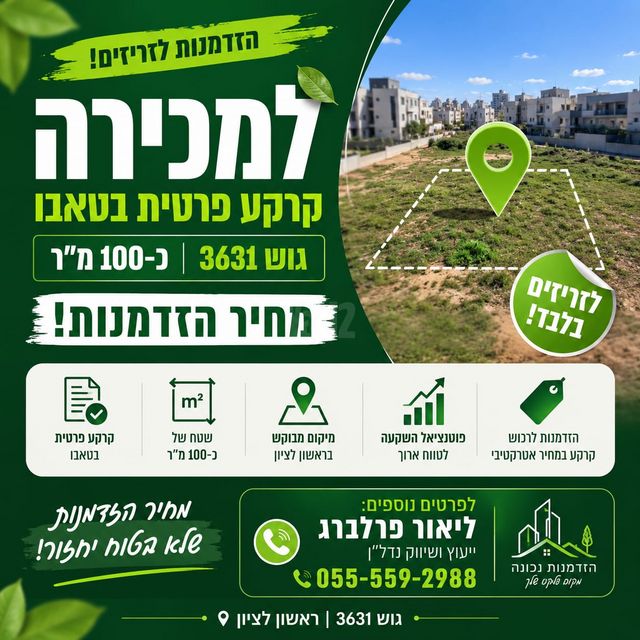 מגרשים, שאר העיר, ראשון לציון