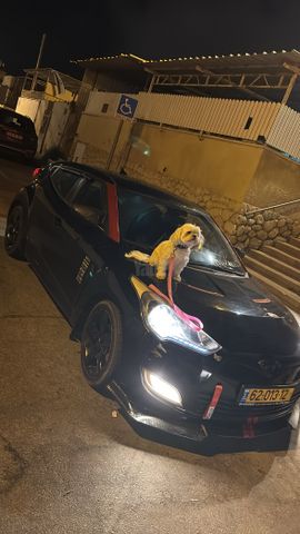 מודעת רכב יונדאי ולוסטר
