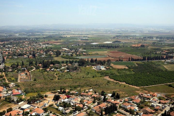 הטחנה 40