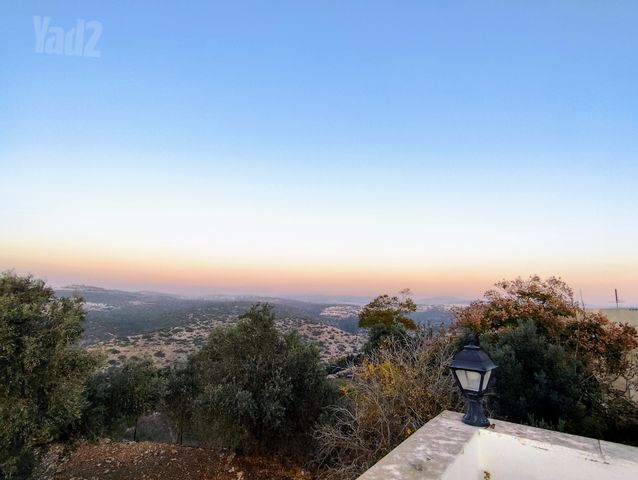 הכלנית 26