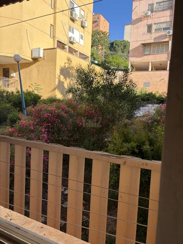 זלמן שז"ר 451