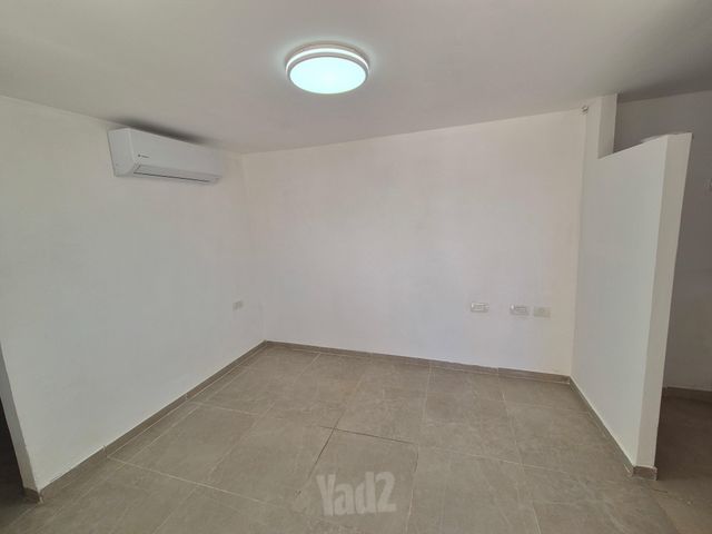 פיינברג 15