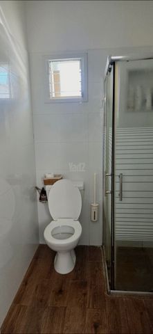 ברל כצנלסון 82
