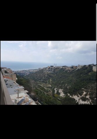 אלכסנדר ינאי 38