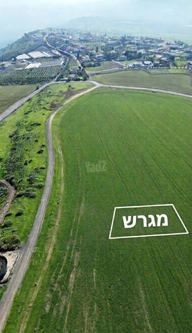 מגרשים