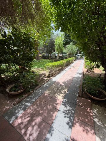 קריניצי 