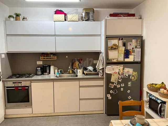 התפוצות 