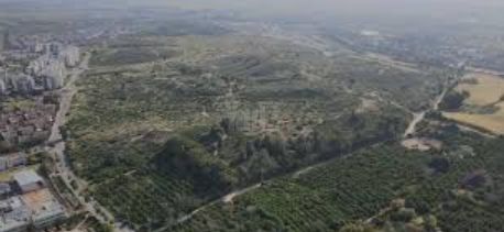 דרך גבעות הכורכר 1