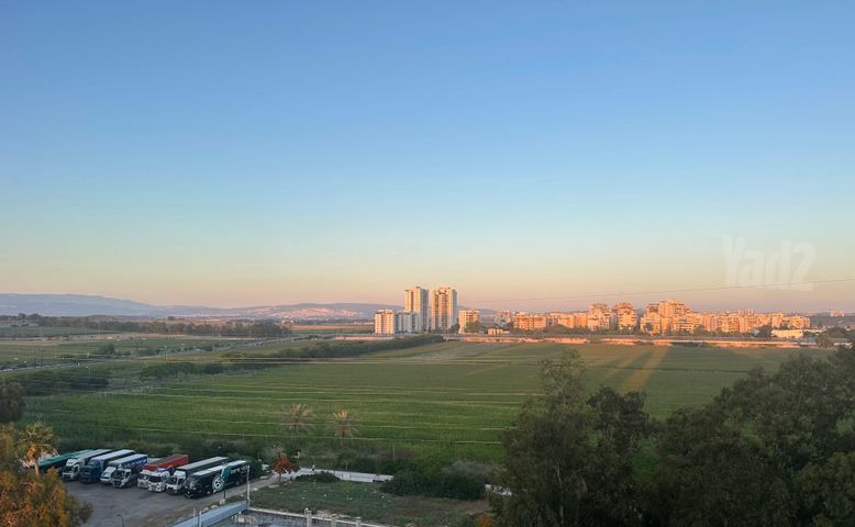 מנשה 20