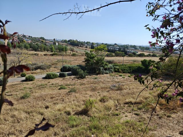 הבשור 57