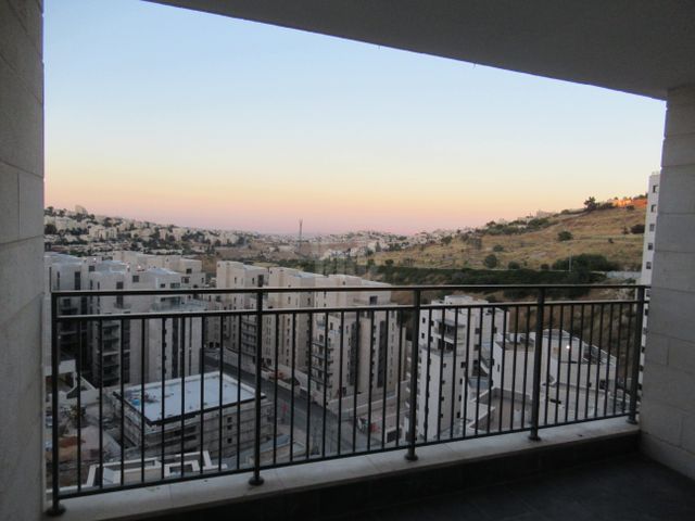 פרופסור יעקב נאמן 1