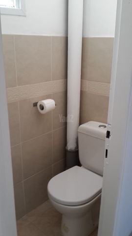 התפוז 3