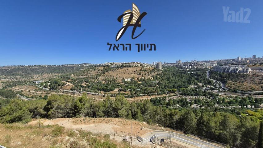 אבנר חי שאקי 