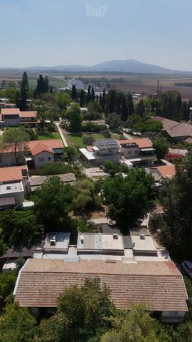 אל היער 