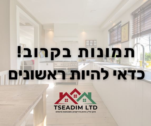 נאות שמיר