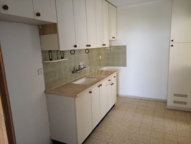צבי ישי 