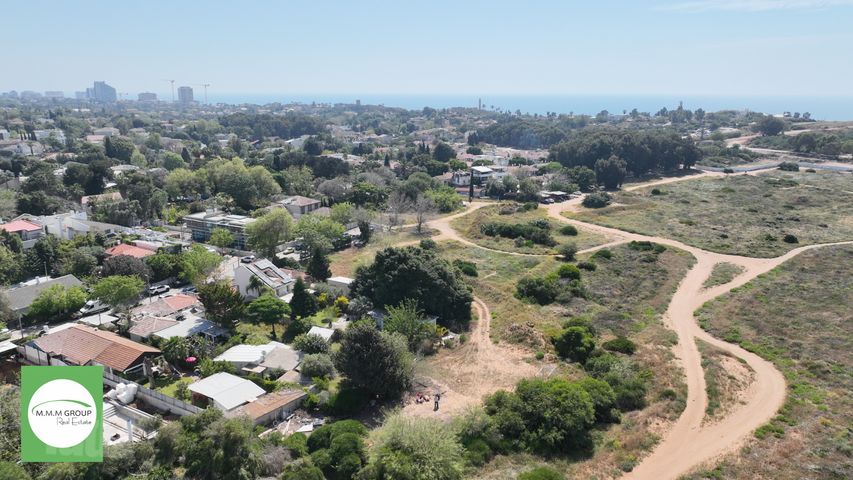 הגפן 6