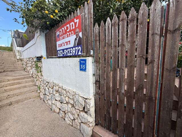 כרמל 3