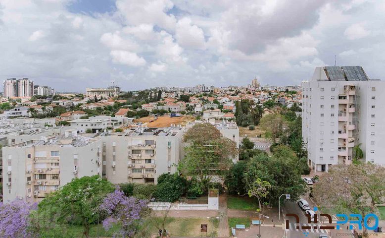 יונה צבי פיינשטיין