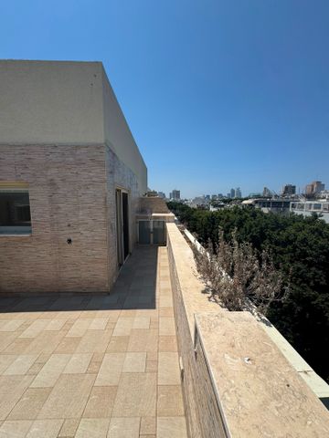 גג/ פנטהאוז, הצפון הישן - צפון, תל אביב יפו