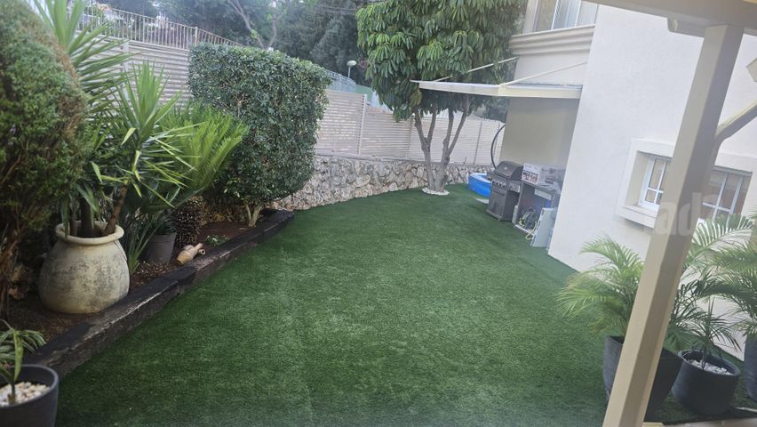ברזילי 26