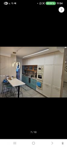 דוד צבי פנקס 3