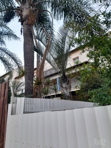 ששת הימים 22