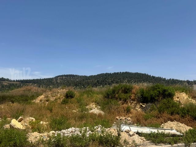 מגרשים למכירה באבן ספיר — 2