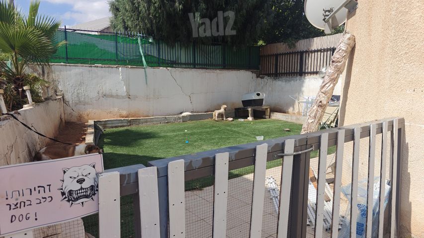 הארזים 37