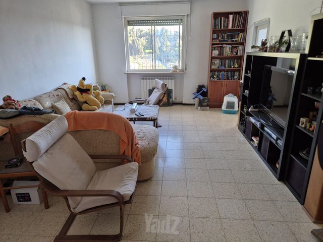 דוד שמעוני 62