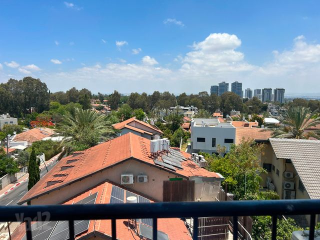 הרב הרצוג 13