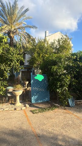 השלום 11