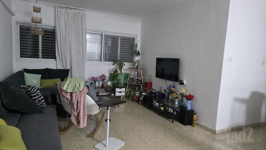 מעפילי אגוז 80