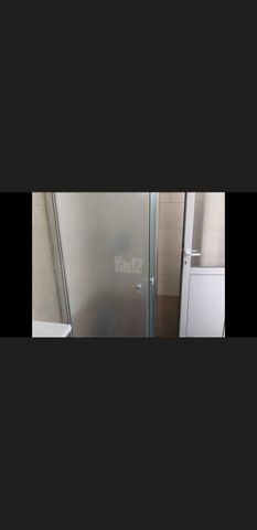 מאיר גרונולד 12