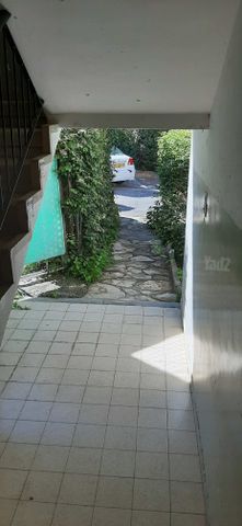 עמק יזרעאל 8