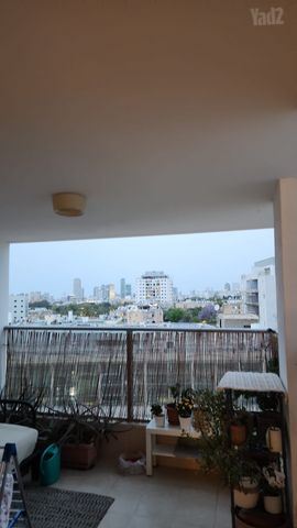 שקד 15