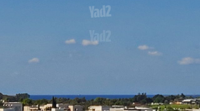 לבונה 