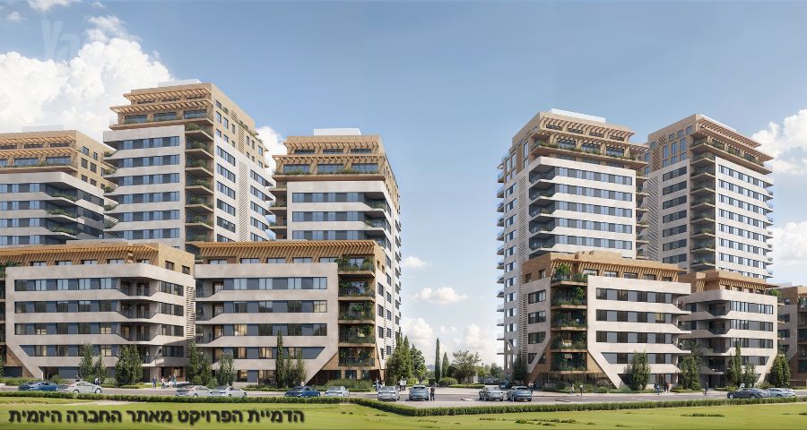 הארזים 