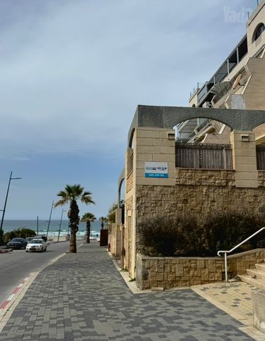 השונית 