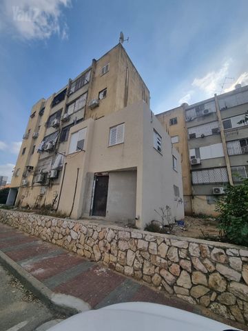 דב הוז 